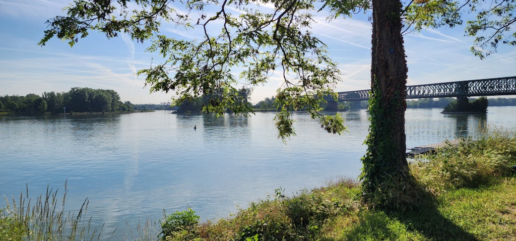 photo of the river rhine at Mainz