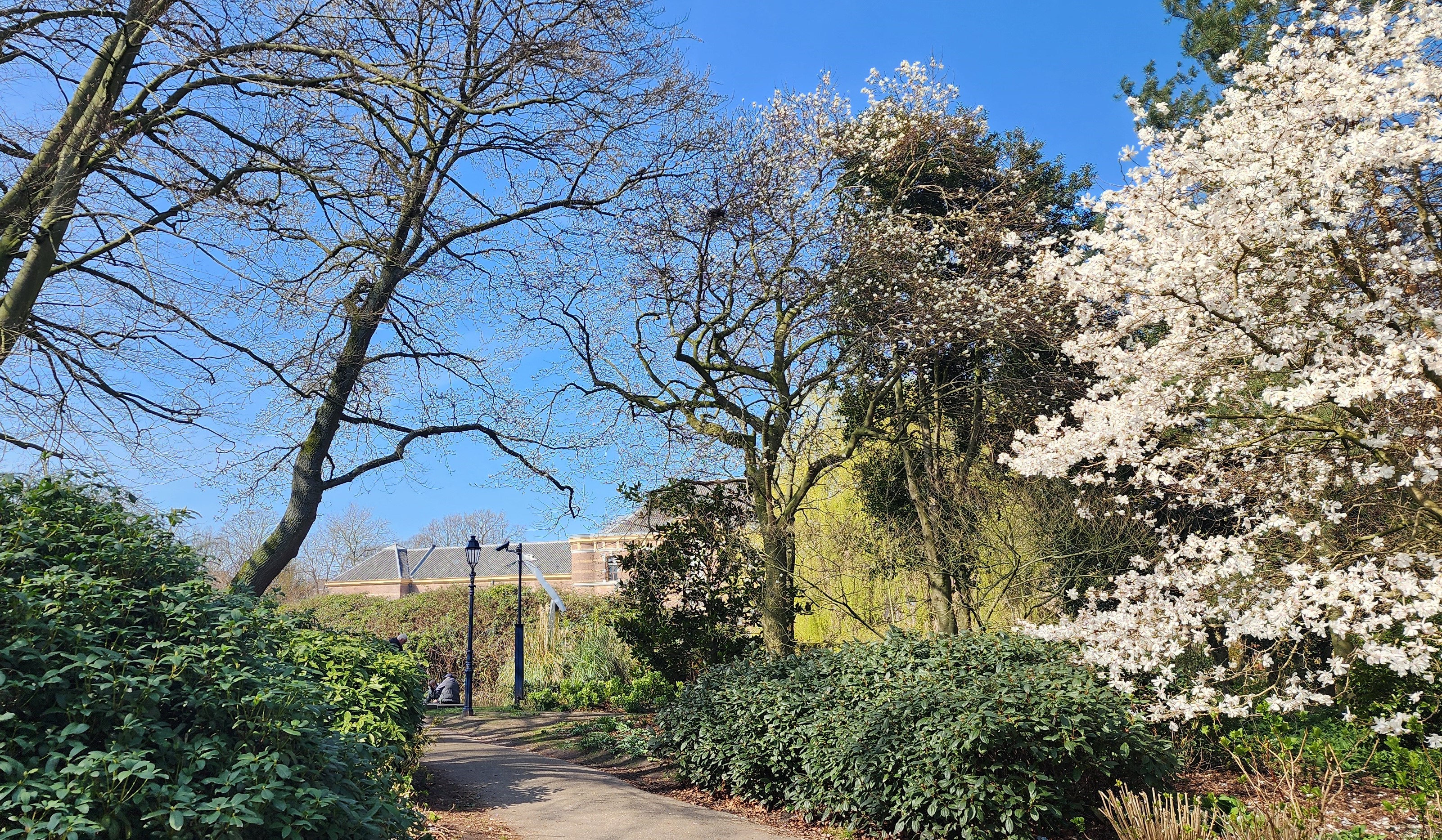 Noordeinde park