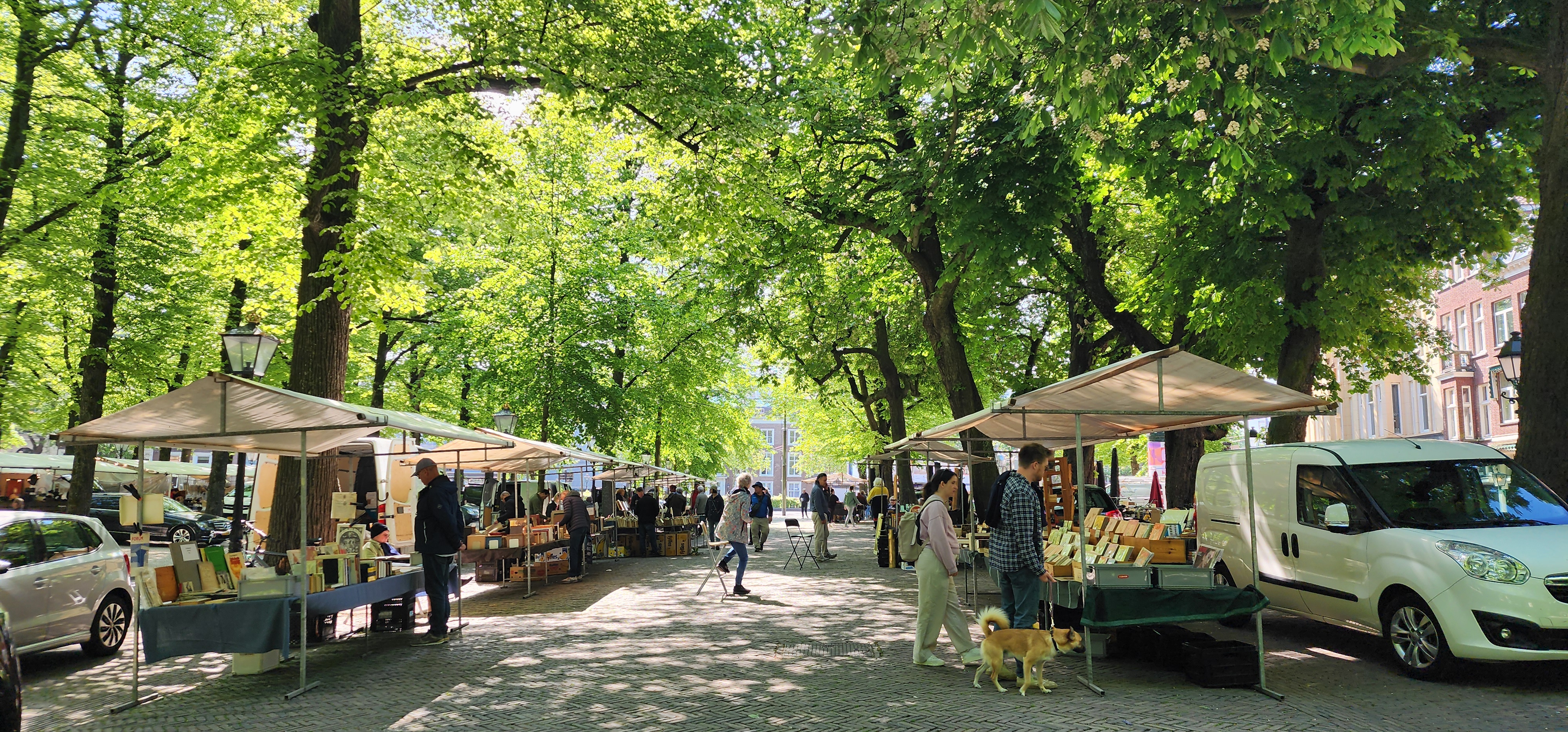 market day