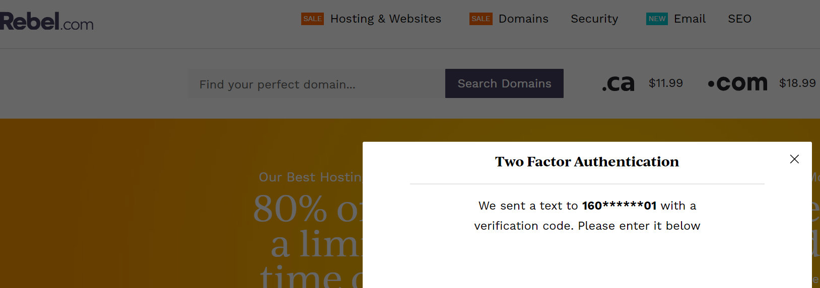 screen shot domain name registrar