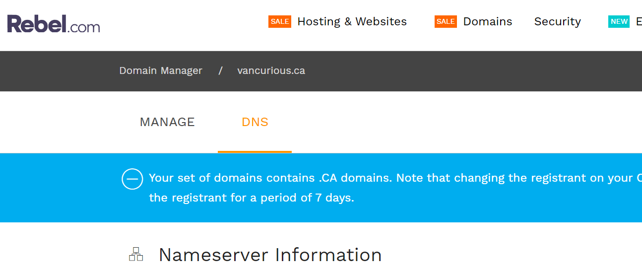 Screen shot DNS change
