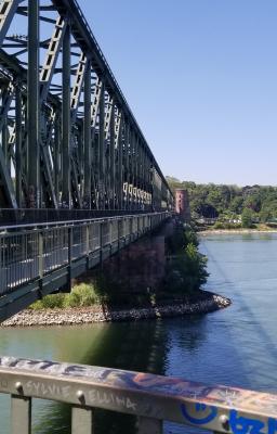 Photo of bridge over the river Mainz