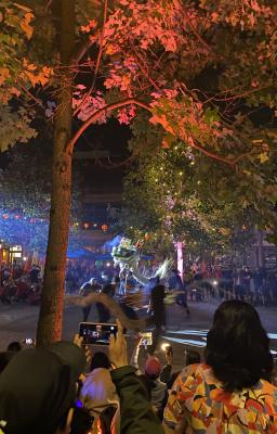 Picture of the dragon dance